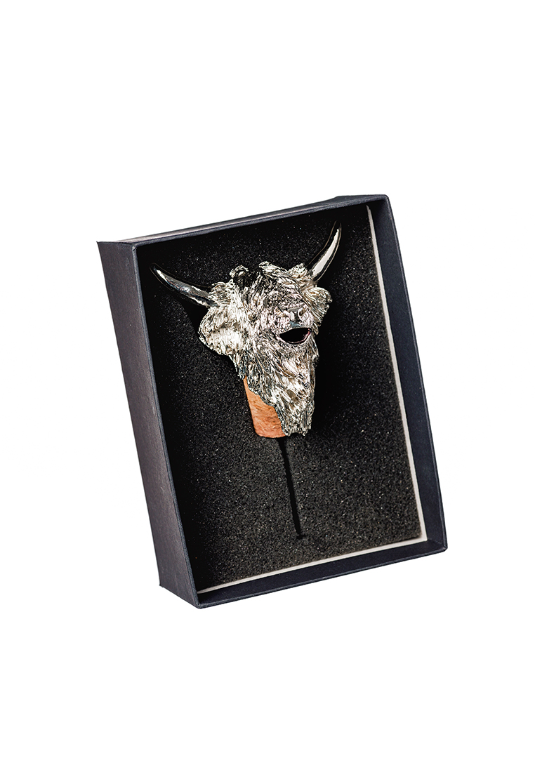 Koetzli_Hochlandrind_rfw3