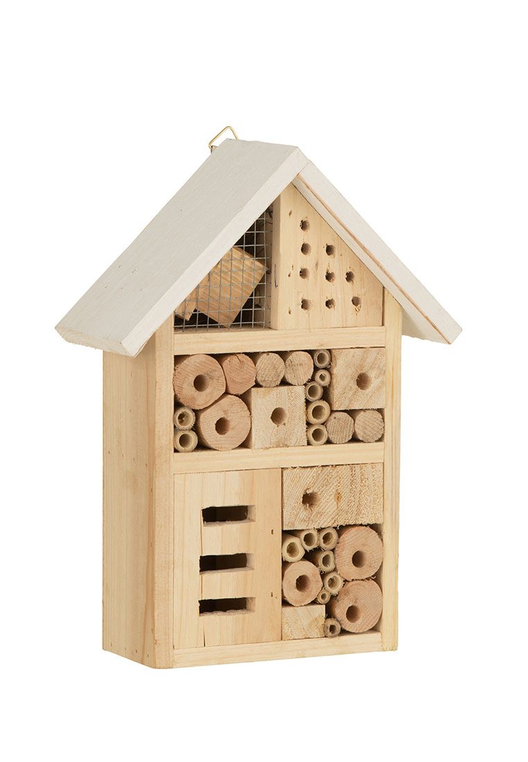 Insekten Home Insekten Home