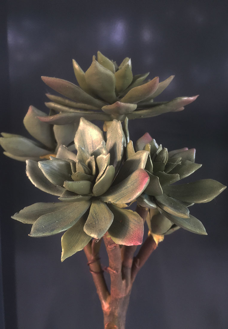 Pflanze_55cm_rfw2