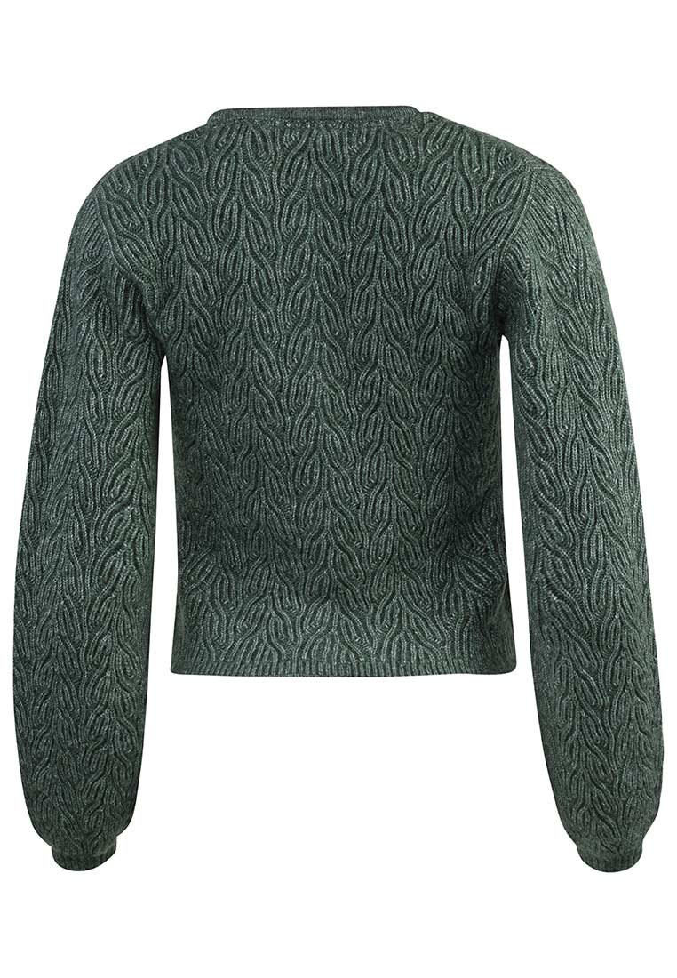 Madame Marie Trachtenstrickjacke Avenara Grün, Rückansicht einer grünen Strickjacke mit Zopfmuster und langen Ärmeln.