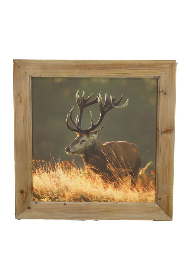 Wandbild Hirsch Tormod Wandbild Hirsch Tormod