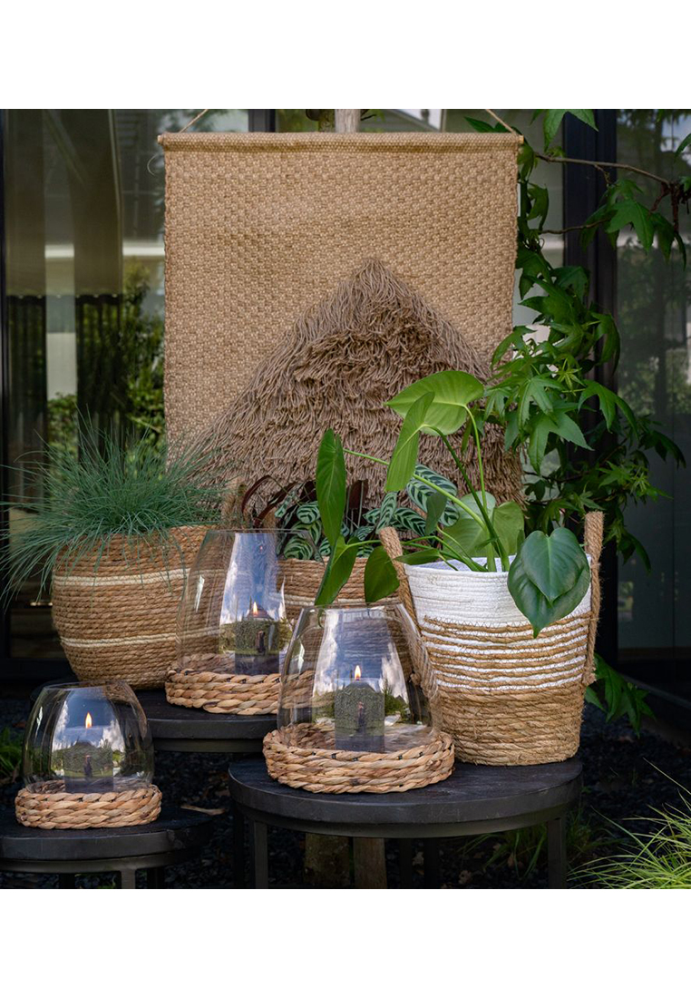 Water_Hyacinth_Vase_19cm_3