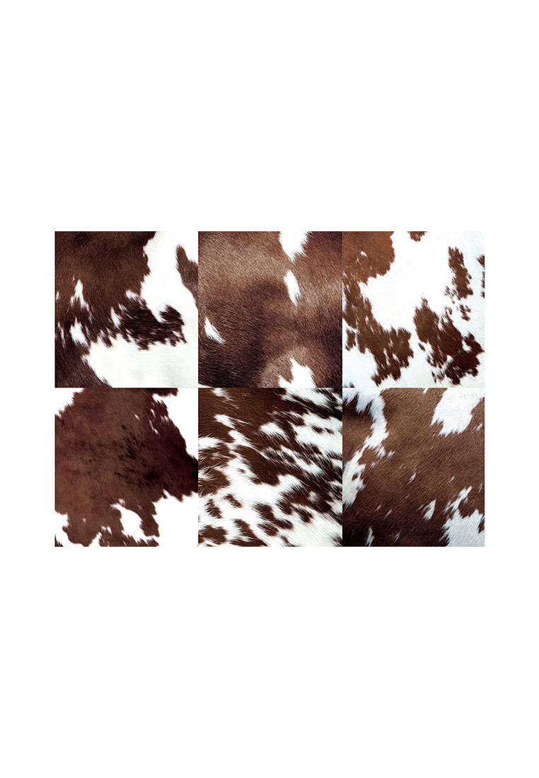 Pôdevache Vinyl Tischset Kuh 6er Set in Braun-Weiss, Frontansicht, modernes Kuhfell-Design für Chalet Chic Tischdekoration.
