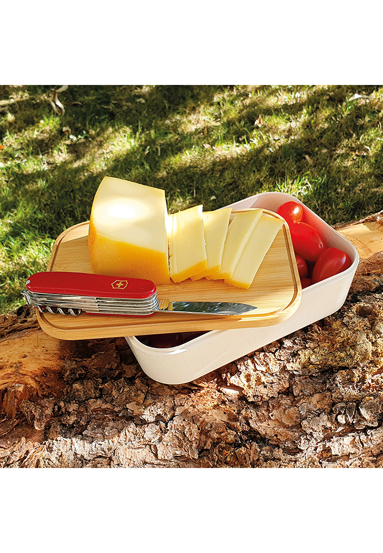 Lunchbox_Swiss_Tradition4_rfw