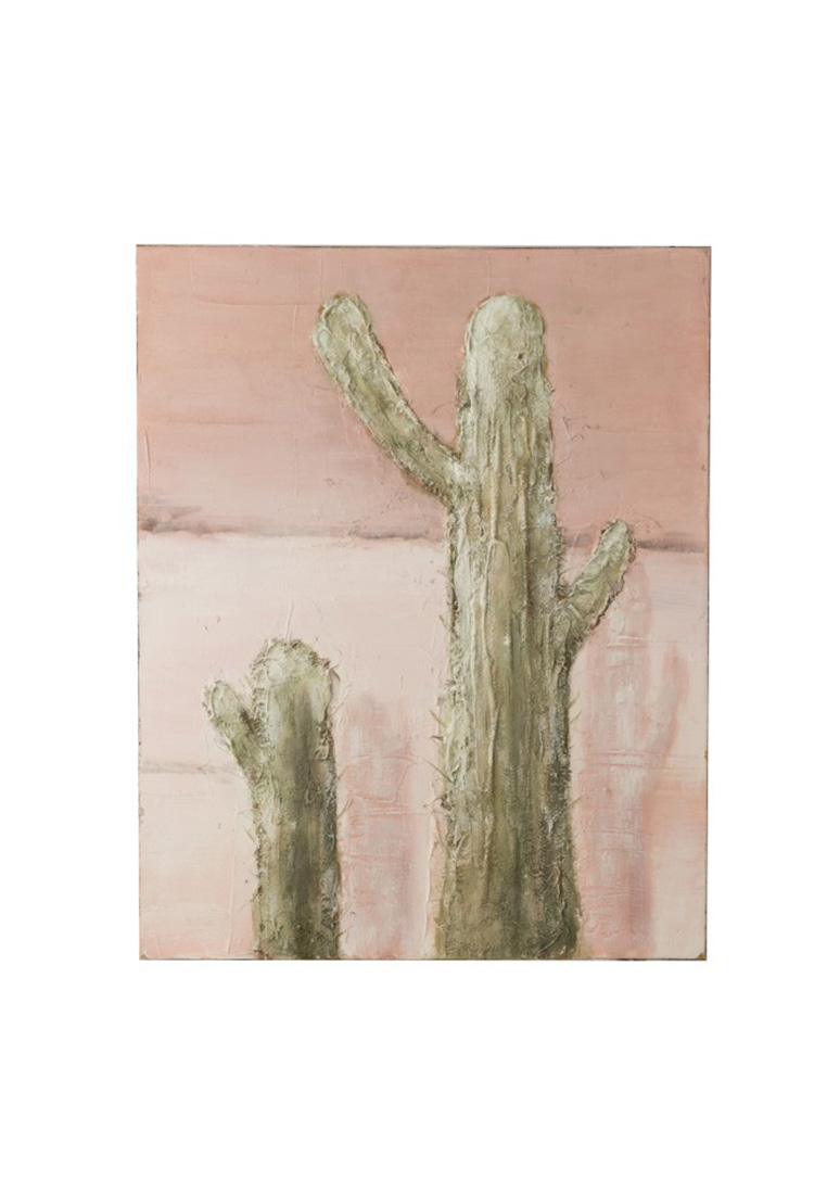 Bild Kaktus