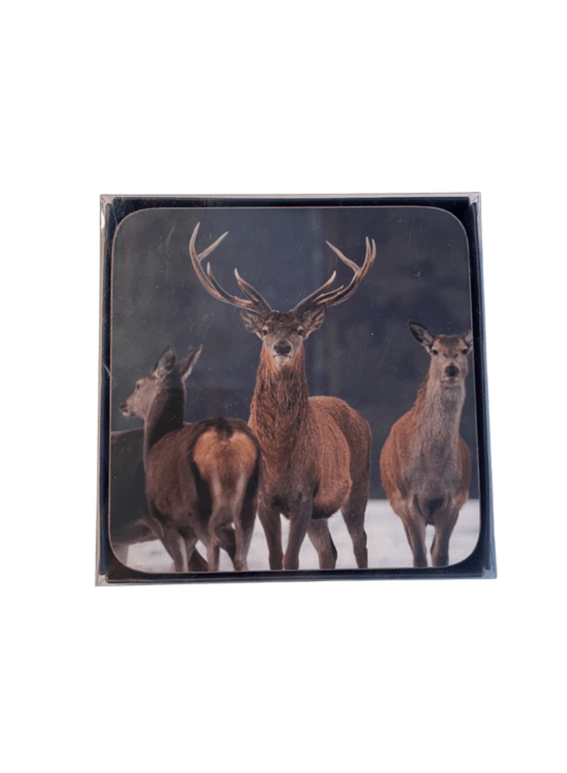 Untersetzer Hirsch